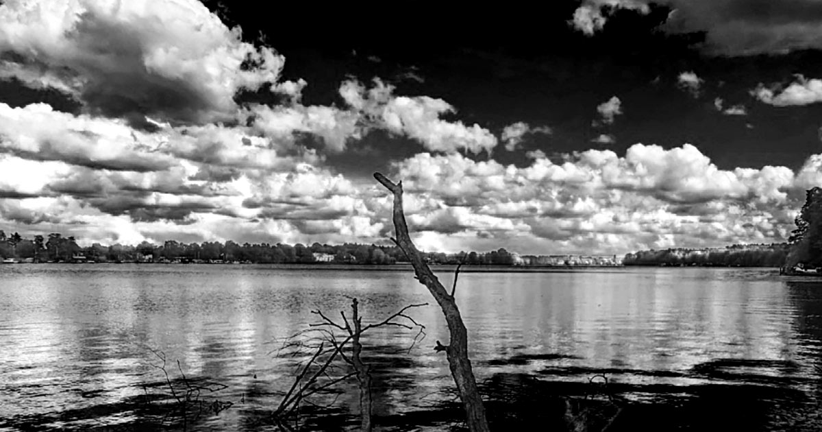 Eigenes Foto, Havel, Ufer Berlin, schwarzweiß, beschnitten